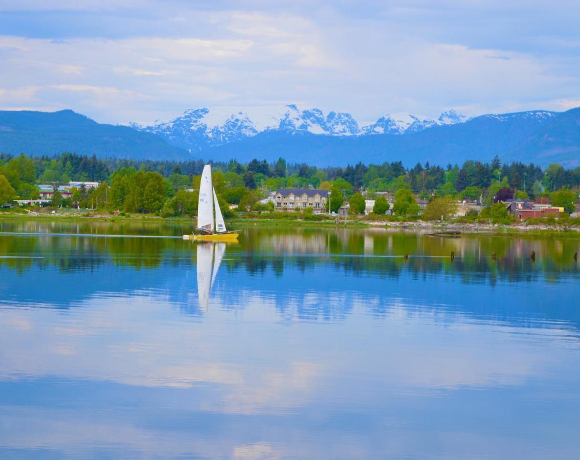 Estuary House Reflexology B&B Courtenay Exteriér fotografie