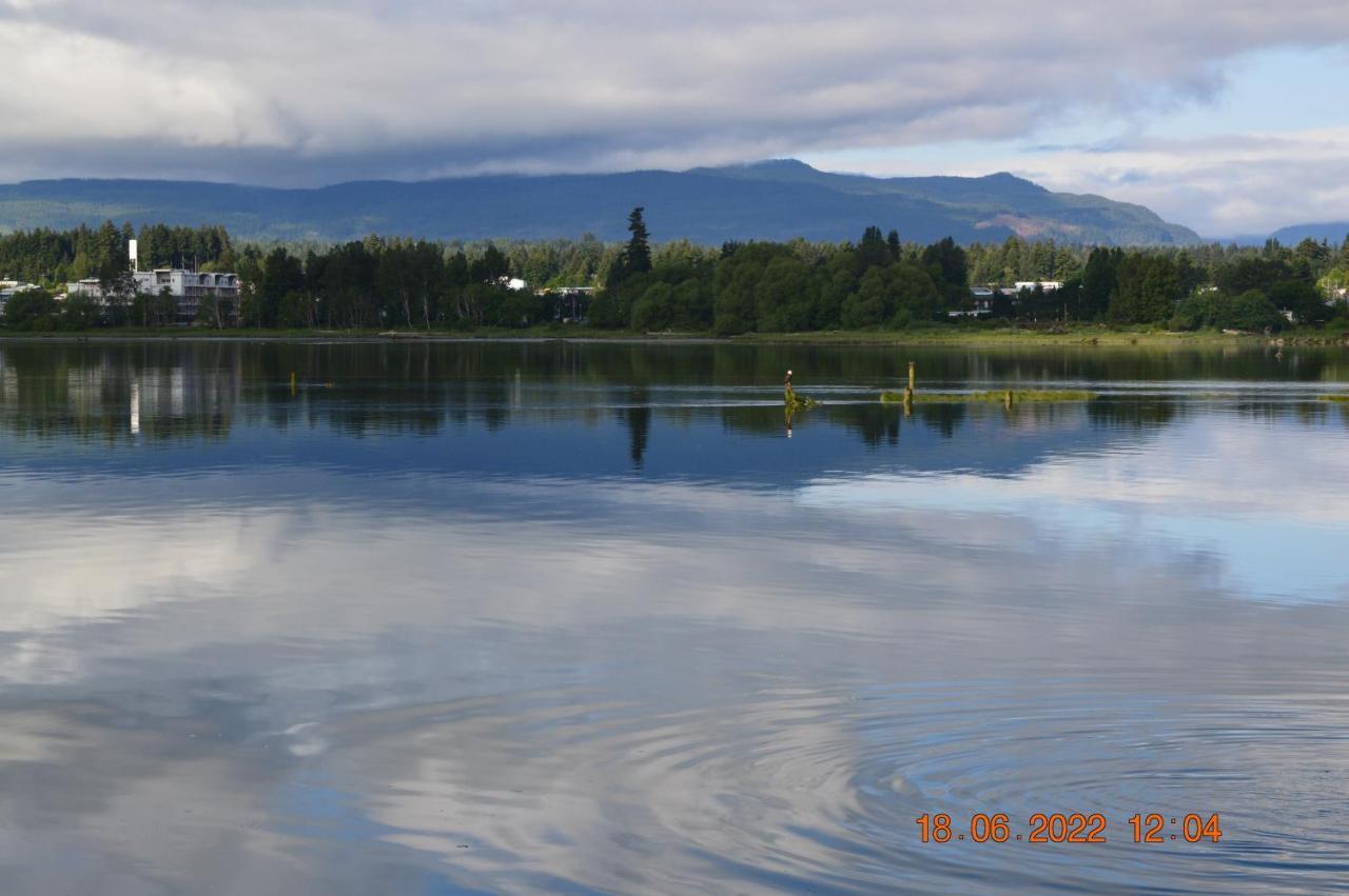 Estuary House Reflexology B&B Courtenay Exteriér fotografie