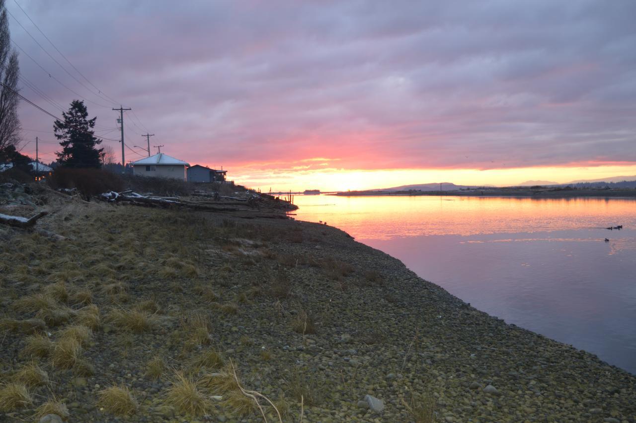 Estuary House Reflexology B&B Courtenay Exteriér fotografie