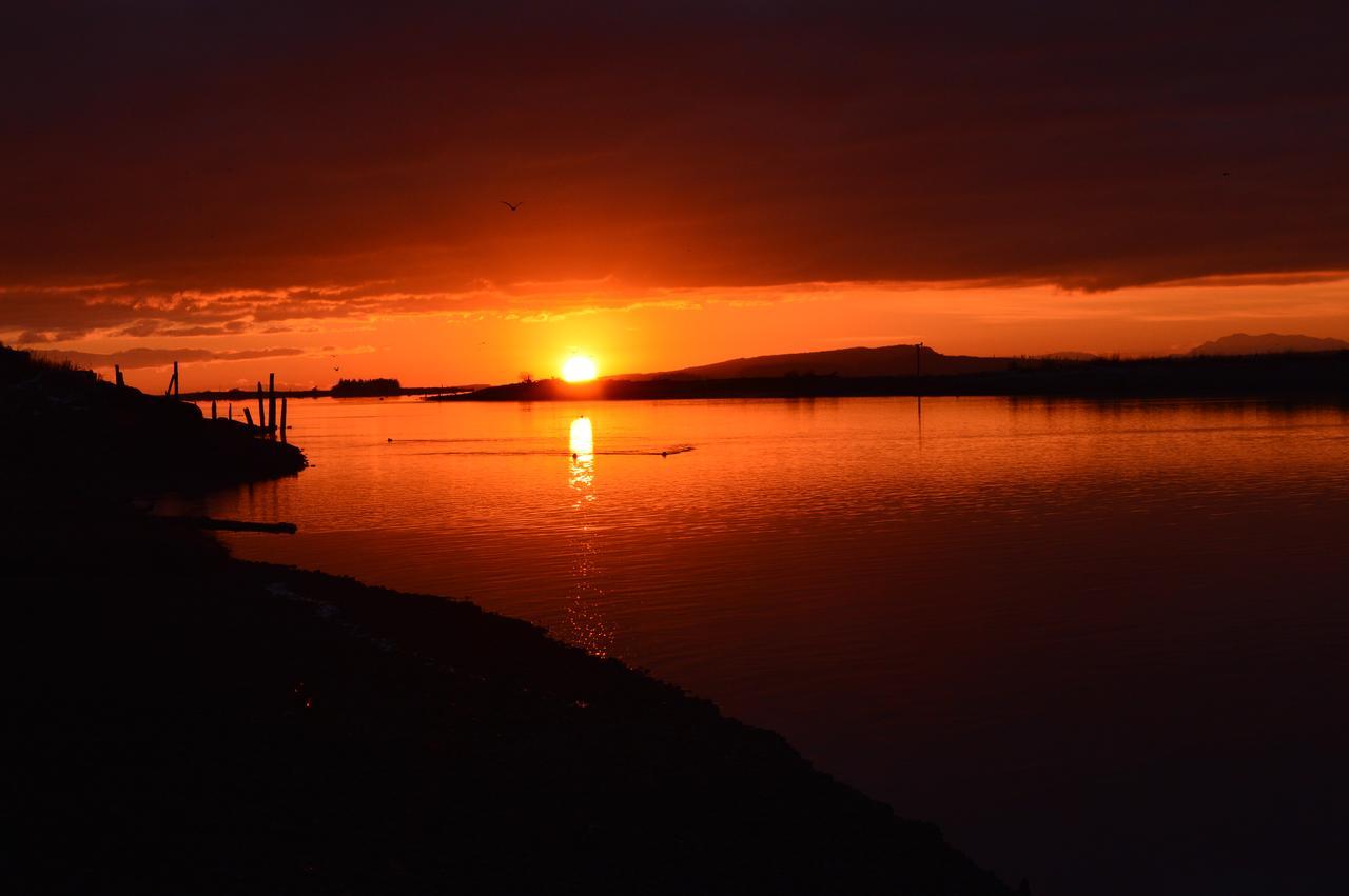 Estuary House Reflexology B&B Courtenay Exteriér fotografie