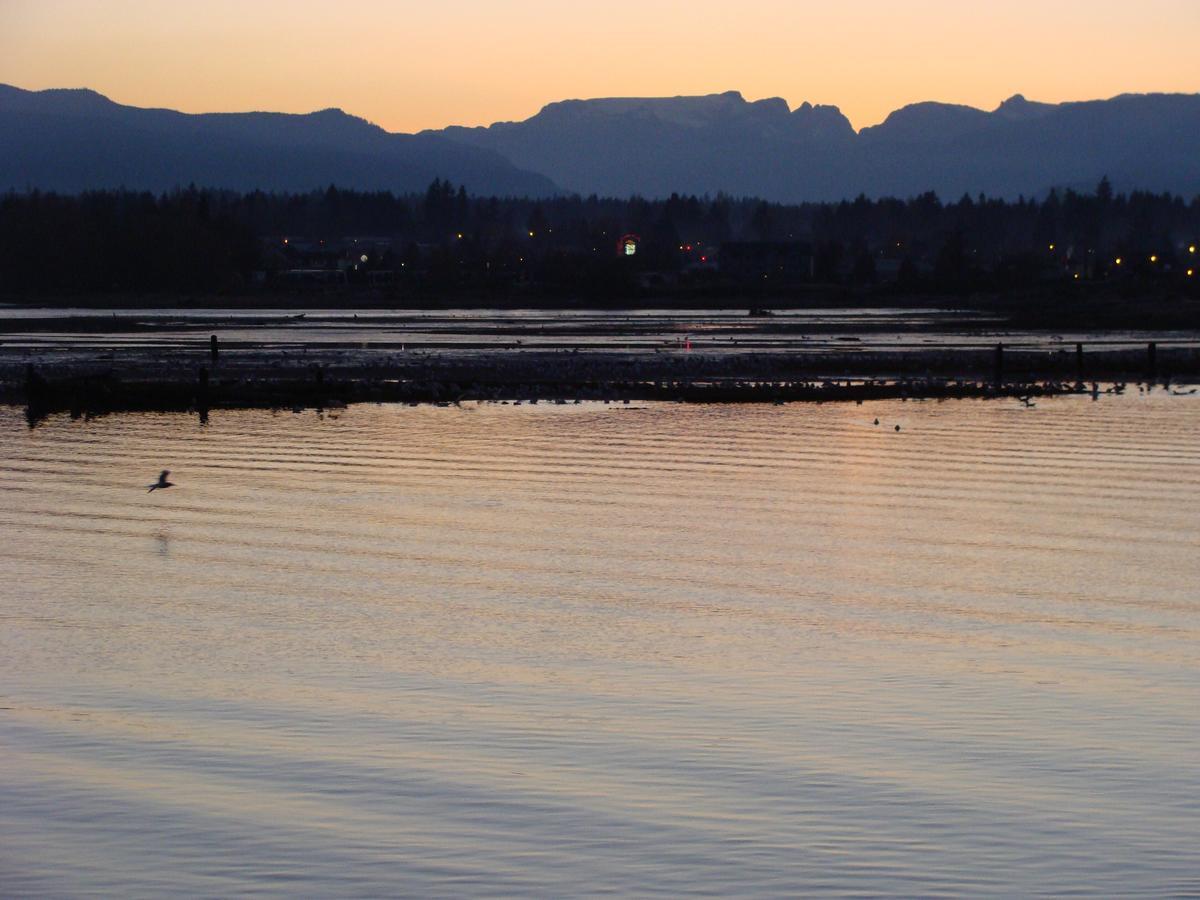 Estuary House Reflexology B&B Courtenay Exteriér fotografie
